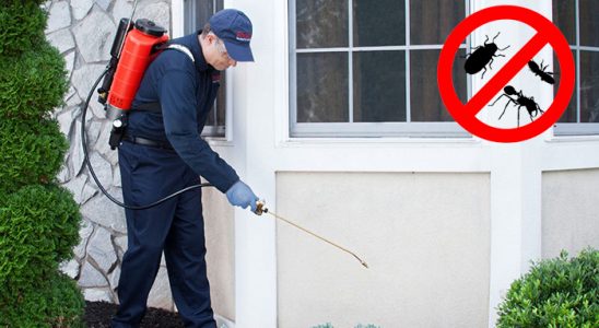 Durağan Kemirgen İlaçlama böcek ilaçlama ve haşere kontrolü — ilaclama-tr.com
